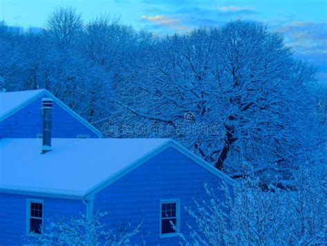 Summer snowfall in a magical blue shade